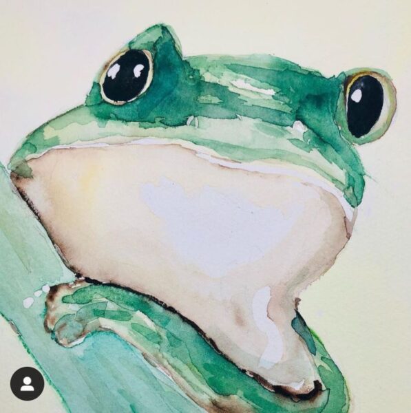 En frø til Lilly