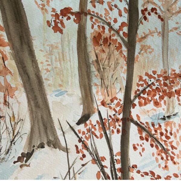 Paradisbakkerne i sne