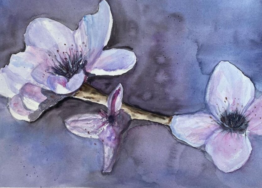 Blomstrende mandelgren2