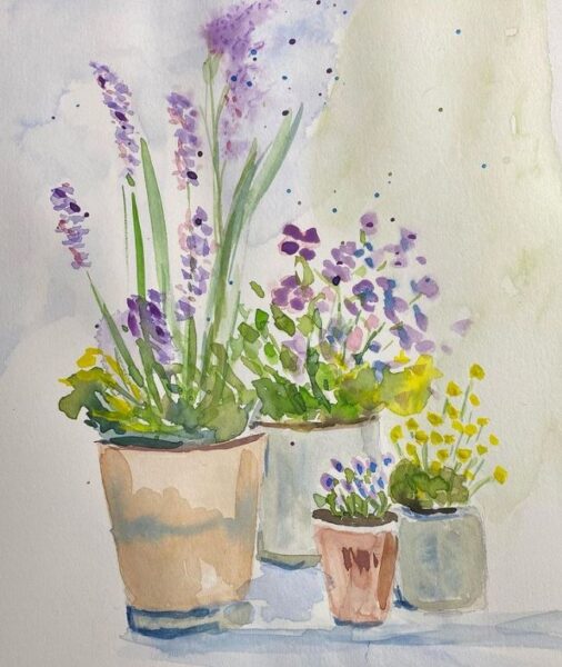 Forårsblomster i potter