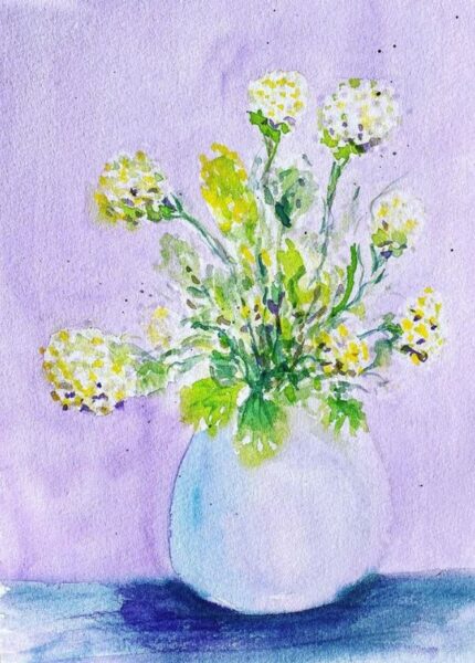 Snebolle – Viburnum opolus roseum