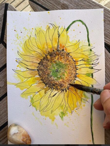 Sunflower