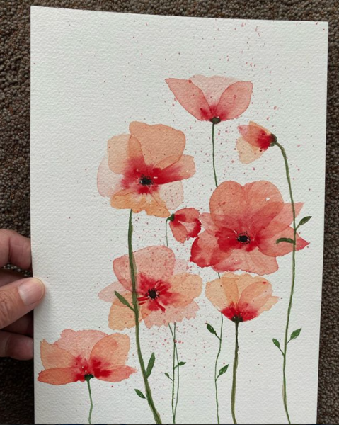 Poppies2
